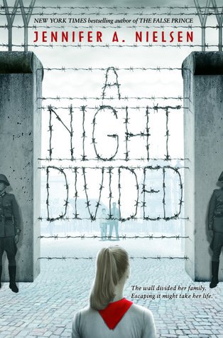 night divided book cover